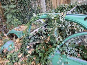 L’architecture à l’ère de l’Anthropocène